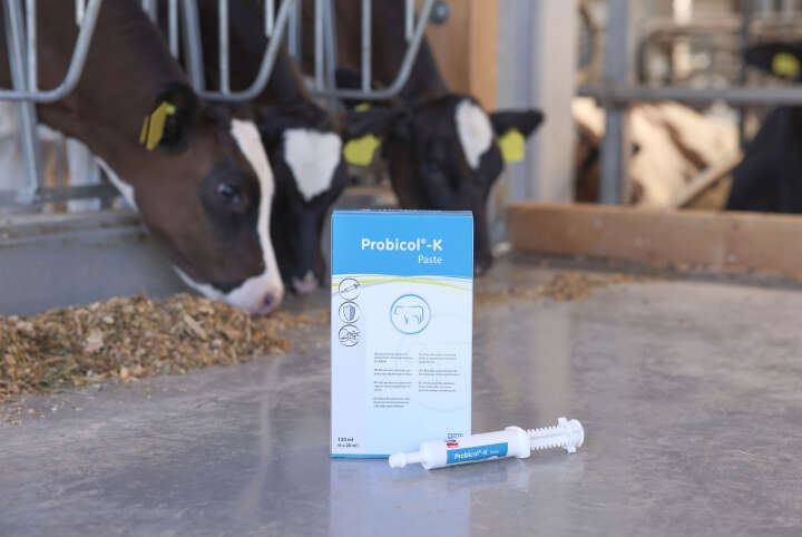 KERBL Probicol-K Paste